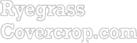 Ryegrass Cover Crop