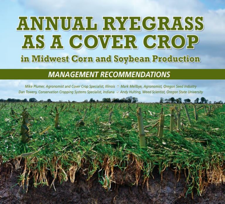 Cover Crop Management Spring 2020 Ryegrass Cover Crop